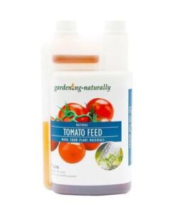 Tomato Feed