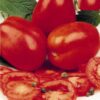 Tomato Roma