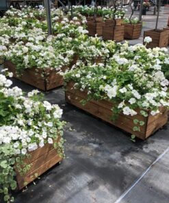 Trough Planter Open