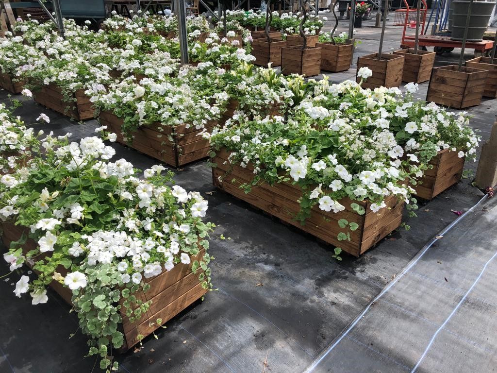 Trough Planter Open