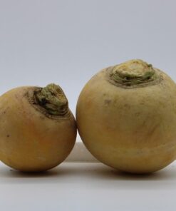 Golden Turnip