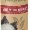Vine Weevil Nematodes