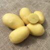 Vitabella Seed Potatoes