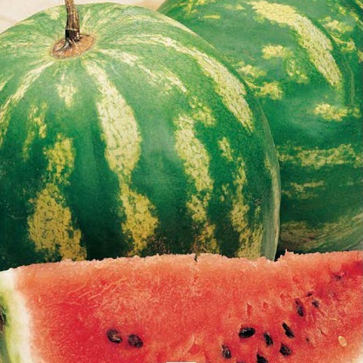 Watermelon Crimson Sweet