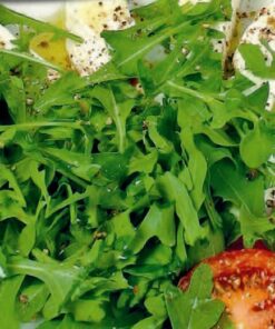 Wild Rocket
