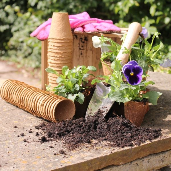 Wood Fibre Pots. Sustainable & biodegradable. - Image 3
