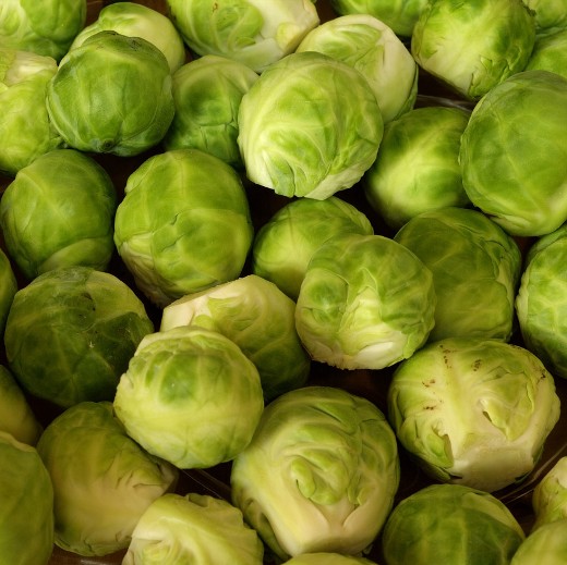 Brussels Sprout